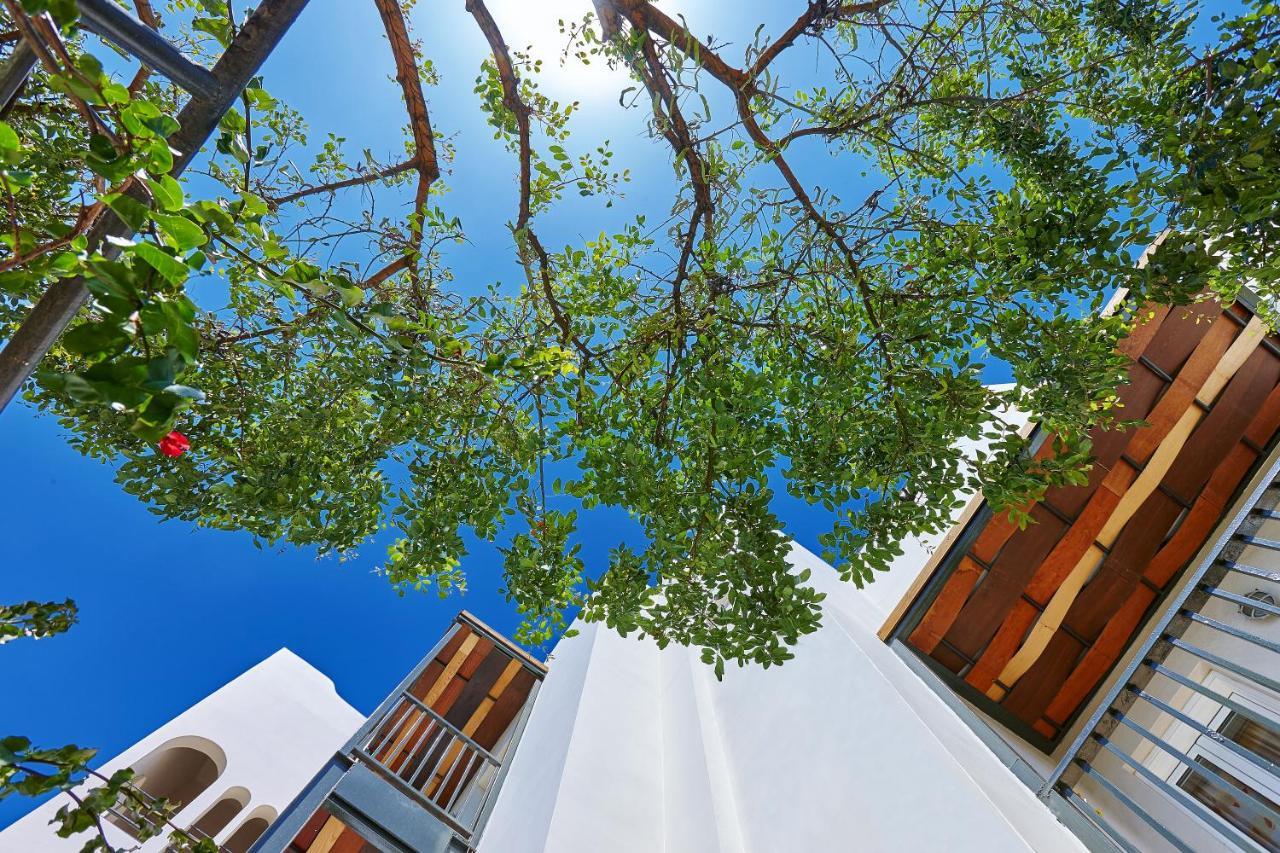Arminda Hotel&Spa Hersonissos  Esterno foto